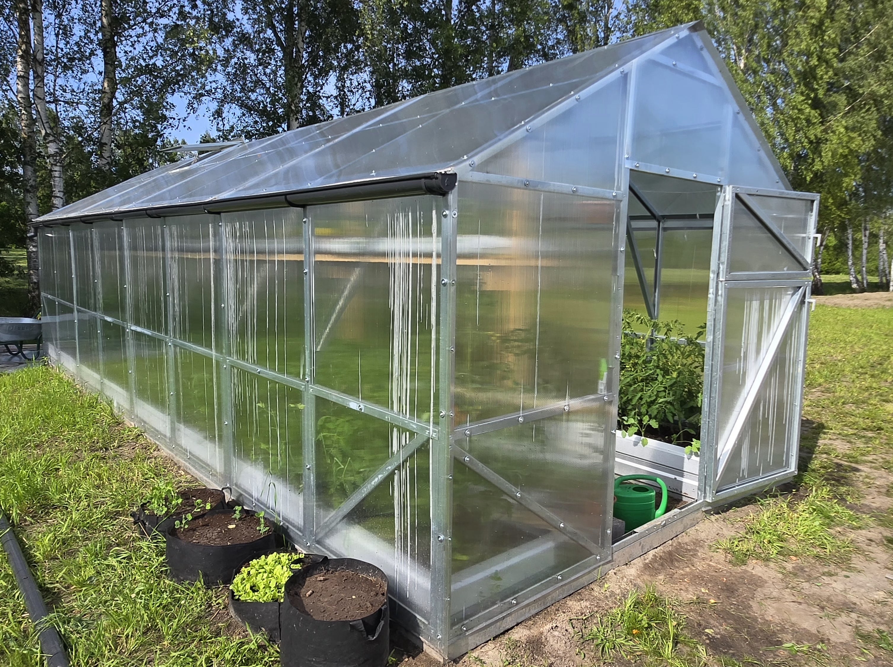 Gable-style polycarbonate greenhouse with galvanized frame showing ventilation window and plants growing inside