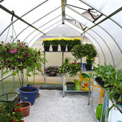 Greenhouse interior with flowers, hanging baskets, seedlings and metal shelving on gravel floor