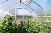 Polycarbonate greenhouse interior with tomato and cucumber plants under natural light