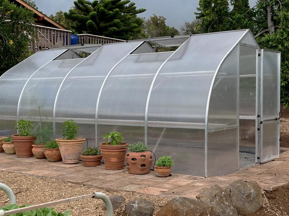 Large polycarbonate greenhouse with multiple roof vents on brick patio with potted herbs