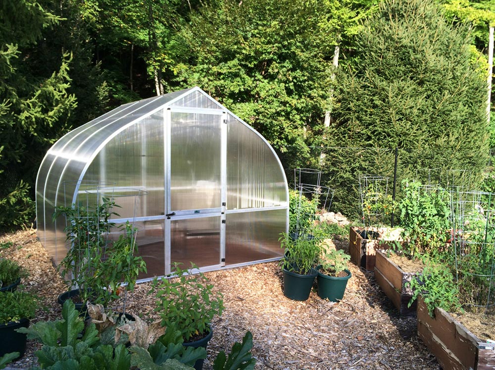 Polycarbonate greenhouse in backyard garden surrounded by raised beds and potted plants